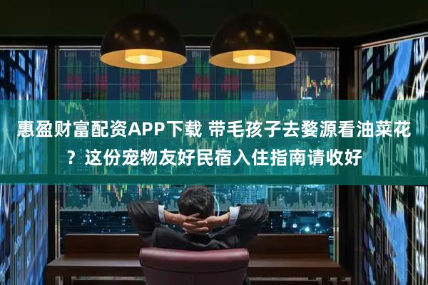 惠盈财富配资APP下载 带毛孩子去婺源看油菜花？这份宠物友好民宿入住指南请收好